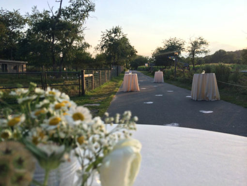 Rustic Farm Summer Wedding | MR Hospitality