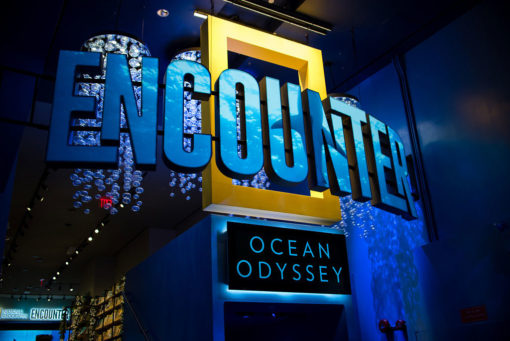 Mr. Hospitality | Digital Ocean Holiday Party, National Geographic, Odyssey Encounter