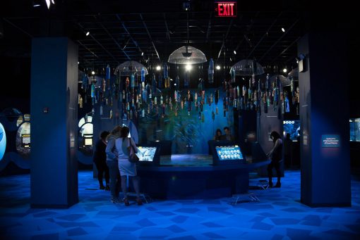 NYC Event Design NYC Corporate Events MR HOSPITALITY