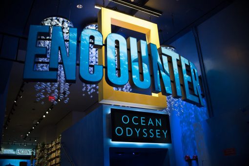 NYC Event Design NYC Corporate Events MR HOSPITALITY