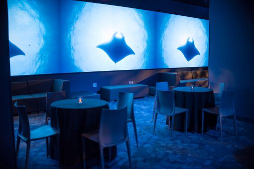 NYC Event Decor NYC Corporate Events MR HOSPITALITY